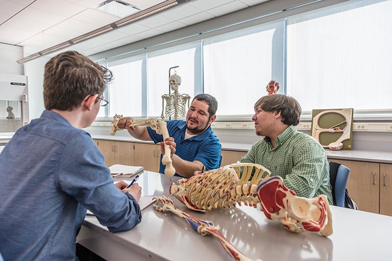 three students looking at a fake skeleton