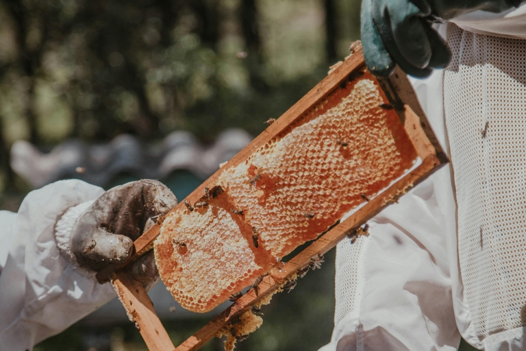 two students in beekeeping suits holding a honeycomb